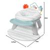 Skip Hop 2-in-1 Sit-up Activity Baby Chair, Silver Lining Cloud(Activity Chair)