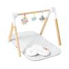 Activity Gym