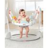 Skip Hop Baby Activity Play Bouncer for Baby Ages 4m+ Silver Lining Cloud, Foldable(Silver Lining Cloud)