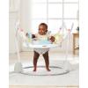 Skip Hop Baby Activity Play Bouncer for Baby Ages 4m+ Silver Lining Cloud, Foldable(Silver Lining Cloud)