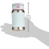 Skip Hop Toddler Sippy Cup with Straw, Sparks Stainless Steel Straw Bottle, Truck(Ice Cream)