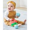 Skip Hop Baby Toy Musical Instruments, Farmstand Grow & Play, Berry Band Set(Berry Cute Band)
