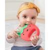 Skip Hop Baby Toy Musical Instruments, Farmstand Grow & Play, Berry Band Set(Berry Cute Band)