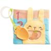 Skip Hop Baby Toy Musical Instruments, Farmstand Grow & Play, Berry Band Set(Musical Toys Gift Set)