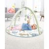 Skip Hop Carter’s Safari Baby Play Mat and Infant Activity Gym(Arctic)