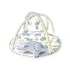 Skip Hop Carter’s Safari Baby Play Mat and Infant Activity Gym(Arctic)
